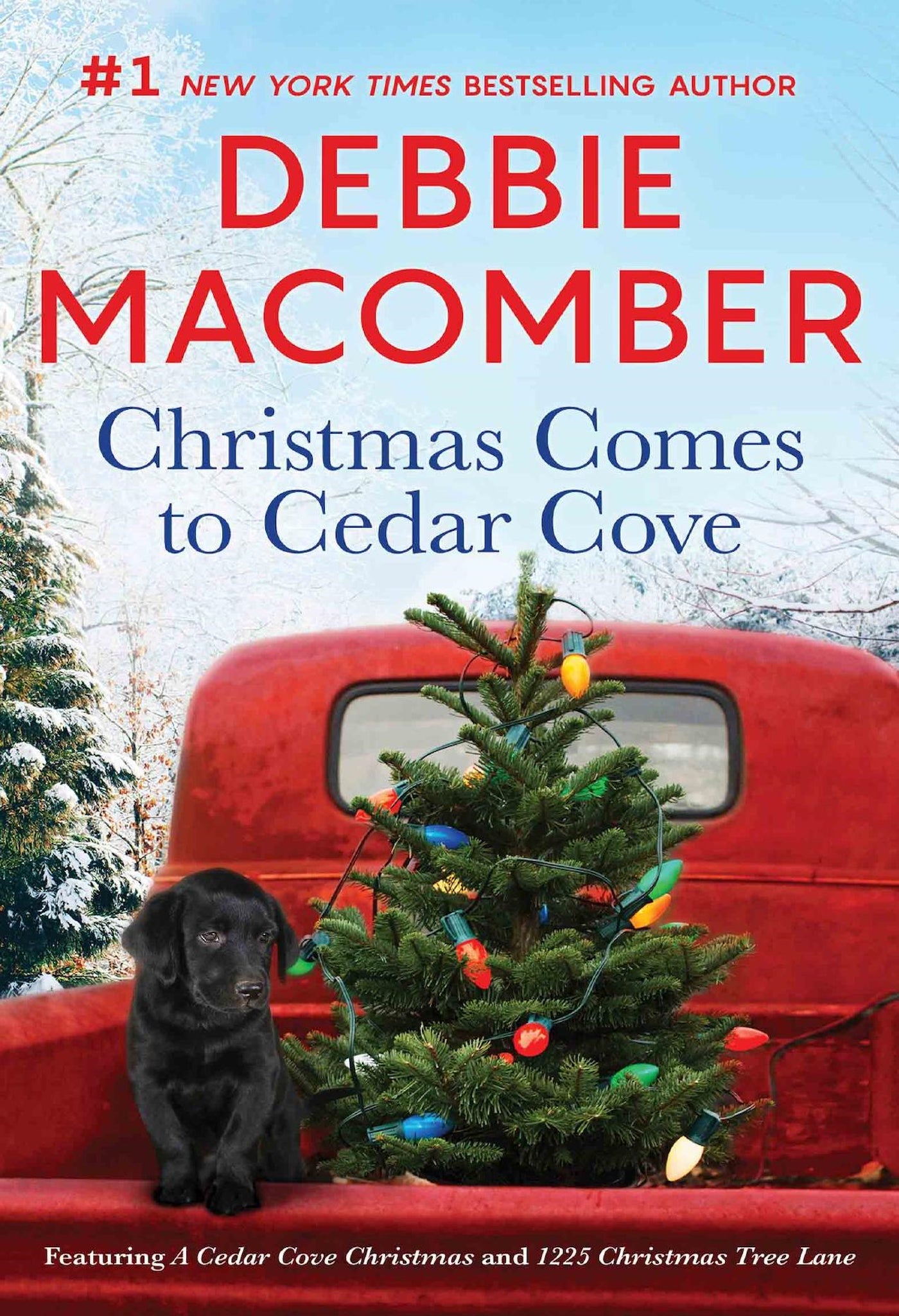 Christmas Comes to Cedar Cove - Begawan's Veranda Publishing