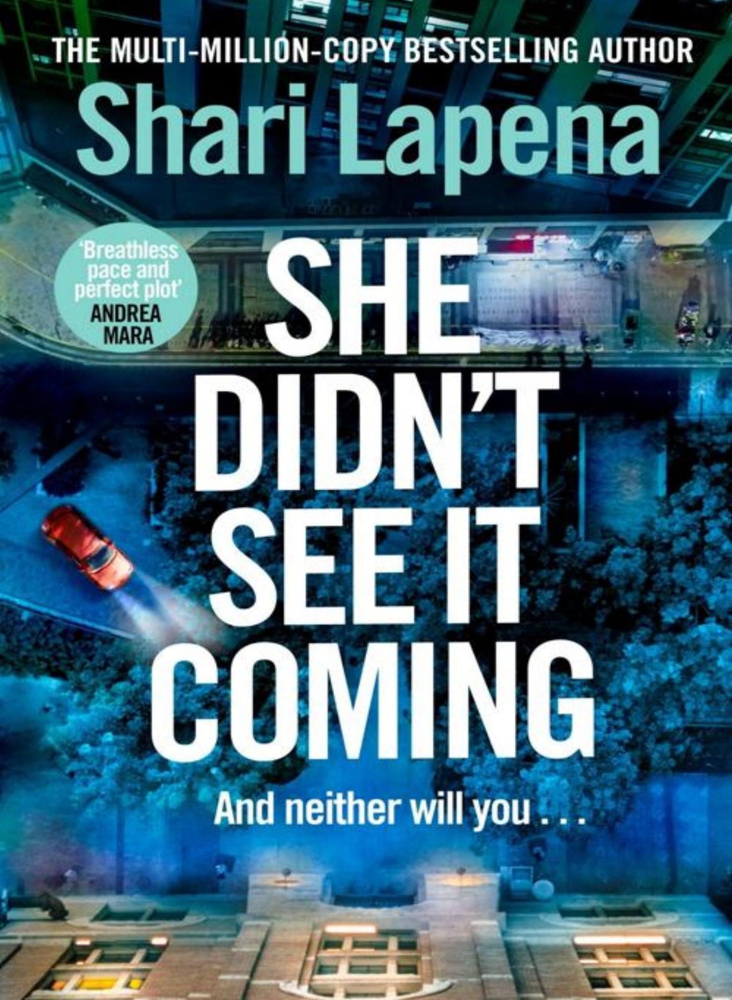 She Didn’t See It Coming - Begawan's Veranda Publishing