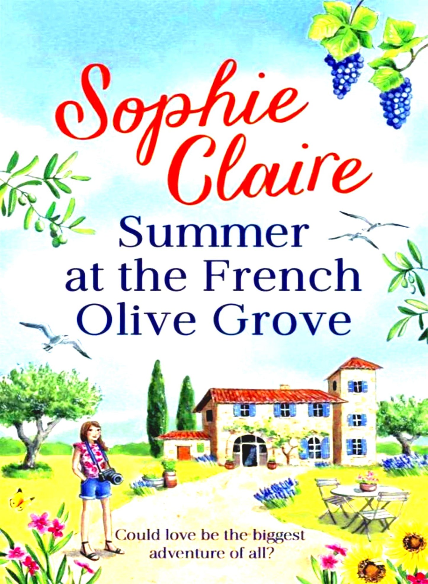 Summer at the French Olive Grove - Begawan's Veranda Publishing