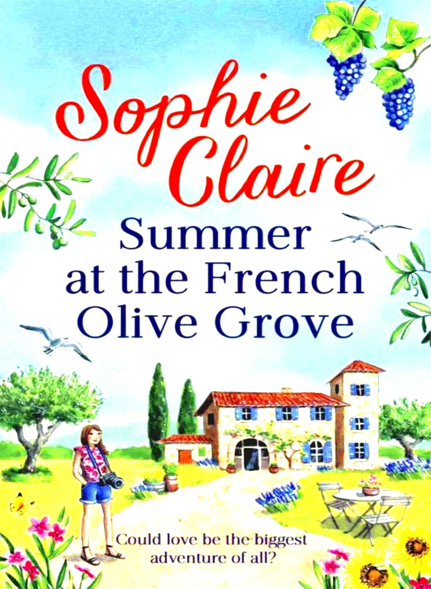 Summer at the French Olive Grove - Begawan's Veranda Publishing