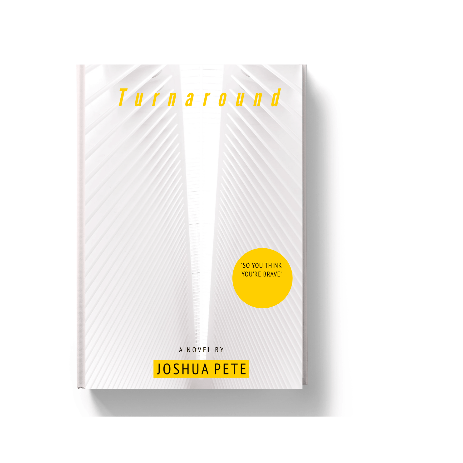Turnaround - Begawan's Veranda Publishing